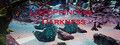 Lost Princess: Darkness