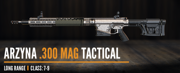 1_High_Caliber_weaponpack_Description_image_616x250_Arzyna_300Mag_Tactical.png?t=1710247260