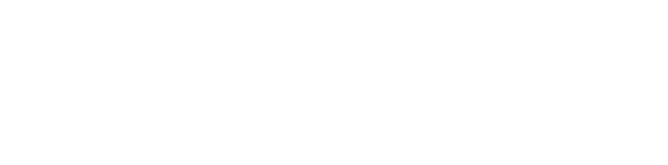 logo-descr.png?t=1705071160