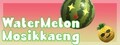 WaterMelon Mosikkaeng