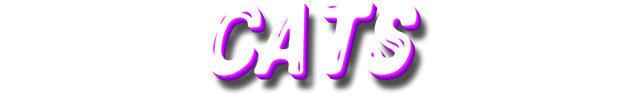 2.png?t=1701851045