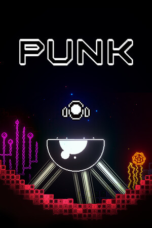 PUNK cover art