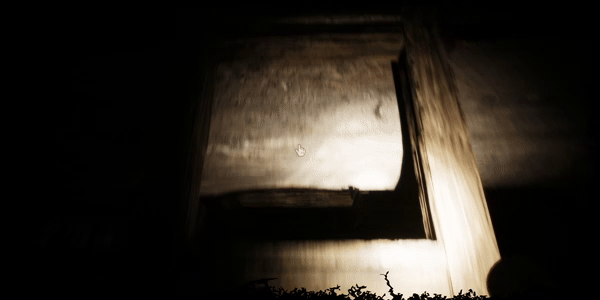 G2.gif?t=1704478097