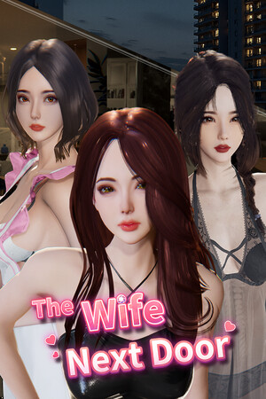 The Wife Next Door cover art