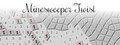 Minesweeper Twist