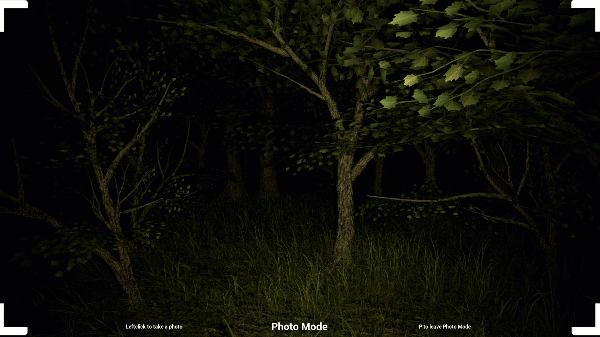 photo.gif?t=1711793415