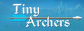 Tiny Archers VR