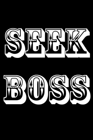 SEEKBOSS cover art