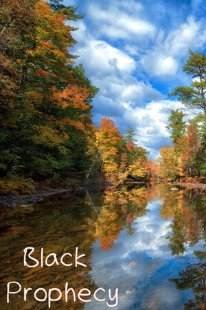 Black Prophecy cover art