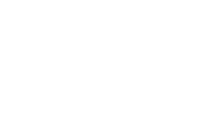 My Friend The Spider
