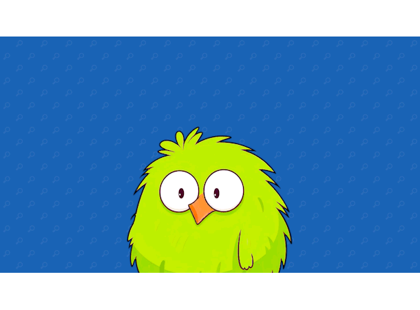 DetectiveKiwiTrailerGifs.gif?t=1706292639