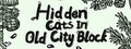 Finding Cats In Old City Block