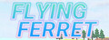 Flying Ferret