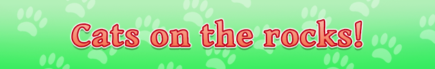 PHC_KittenRock_Cats_1_.png?t=1708417299