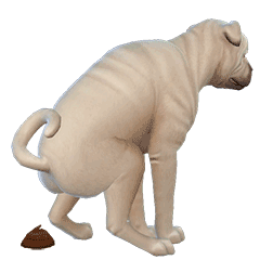 dogShit.gif?t=1706862960