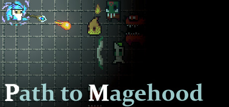 Path to Magehood