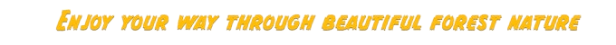 Enjoy.png?t=1711029514