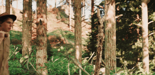 Gathering_small.gif?t=1711029514
