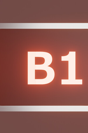 B1 cover art
