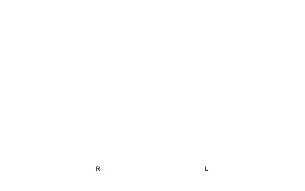 LBox_Guide_Img_03.png?t=1713308219