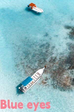 d1cfbf1f-7966-044f-dfdb-97525b51d9a7