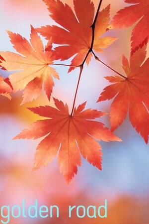 f3bfa0a0-ecfb-32b1-4149-9eab5c21e037