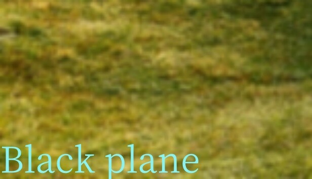 Black plane Steam capsule image
