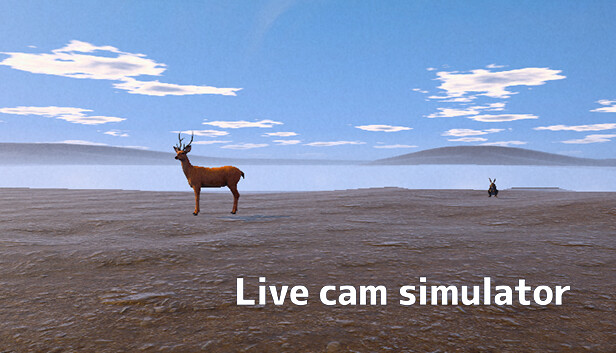 Live Camera Simulator