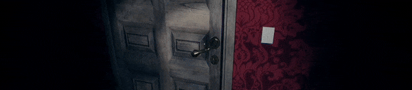 gif06.gif?t=1712761192