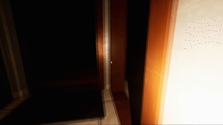 GIF4.gif?t=1709638779