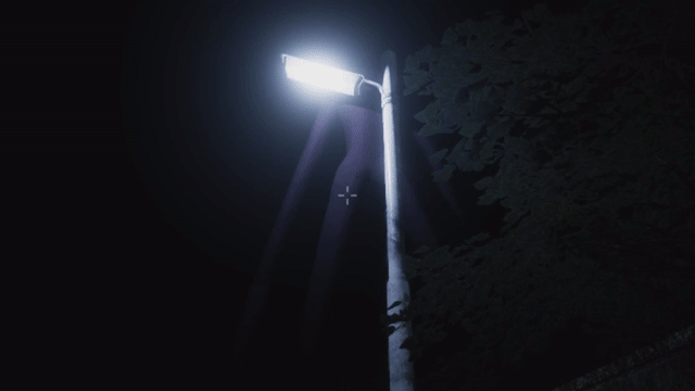 07.gif?t=1715267022