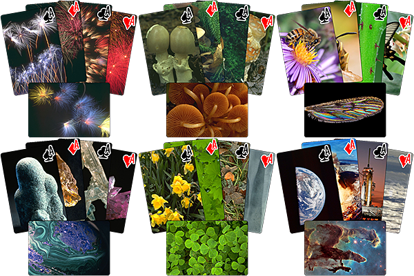 Wyvern_Photo_Deck_Previews.png?t=1710043397