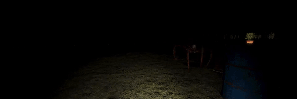 5.gif?t=1713711768