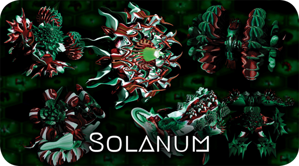 banner_solanum.png?t=1713886148