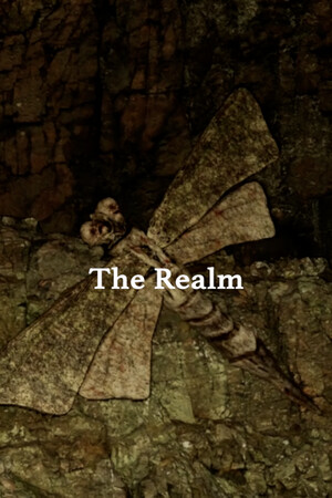 The Realm cover art