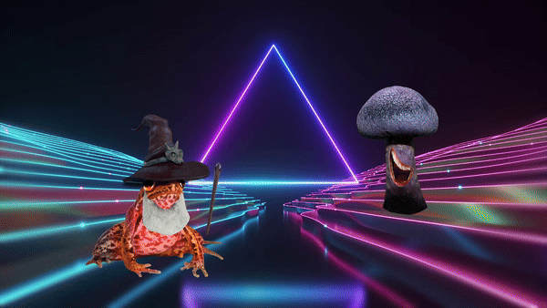 gif2.gif?t=1712325208