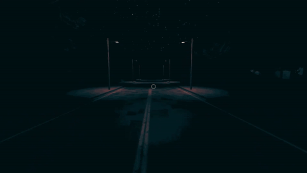2024-03-1120-17-10_11-ezgif.com-video-to-gif-converter.gif?t=1712434708