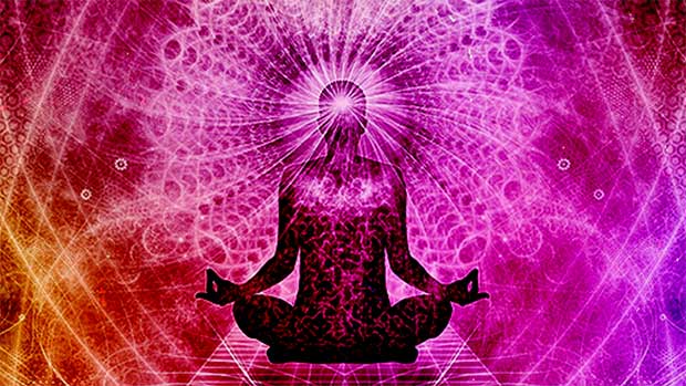 zen-master-body.jpg?t=1714124377