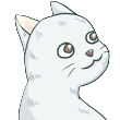 小猫.png?t=1712348320
