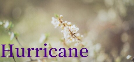 Hurricane Steam header image