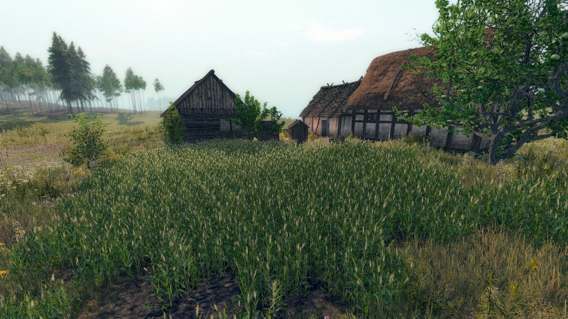 Life is Feudal- Your Own - Games Like Dayz. It is an open world that is set  in the medieval fantasy where you take advanta…