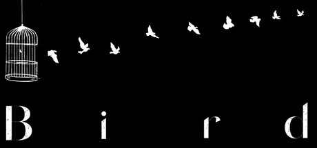 Bird Steam header image