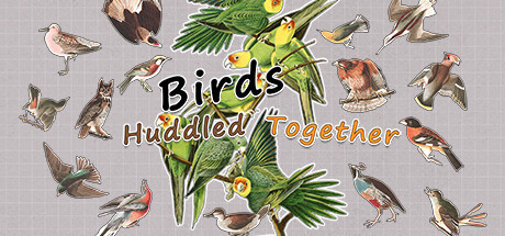 Birds Huddled Together Cover Image