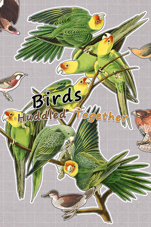 Birds Huddled Together cover art