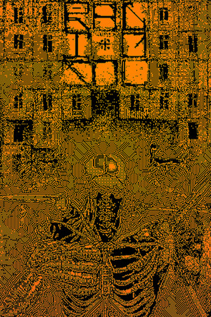 RADIOSOL cover art