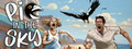 Pie in the Sky
