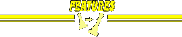 separator3.png?t=1716275186