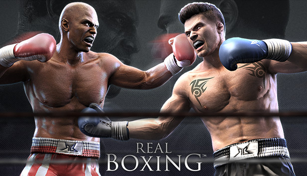 Real Boxing™