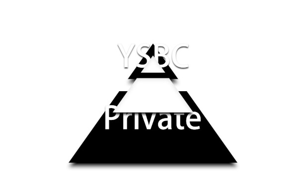 Pyramid Game YSBC Private Steam capsule image