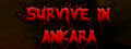 Survive In Ankara